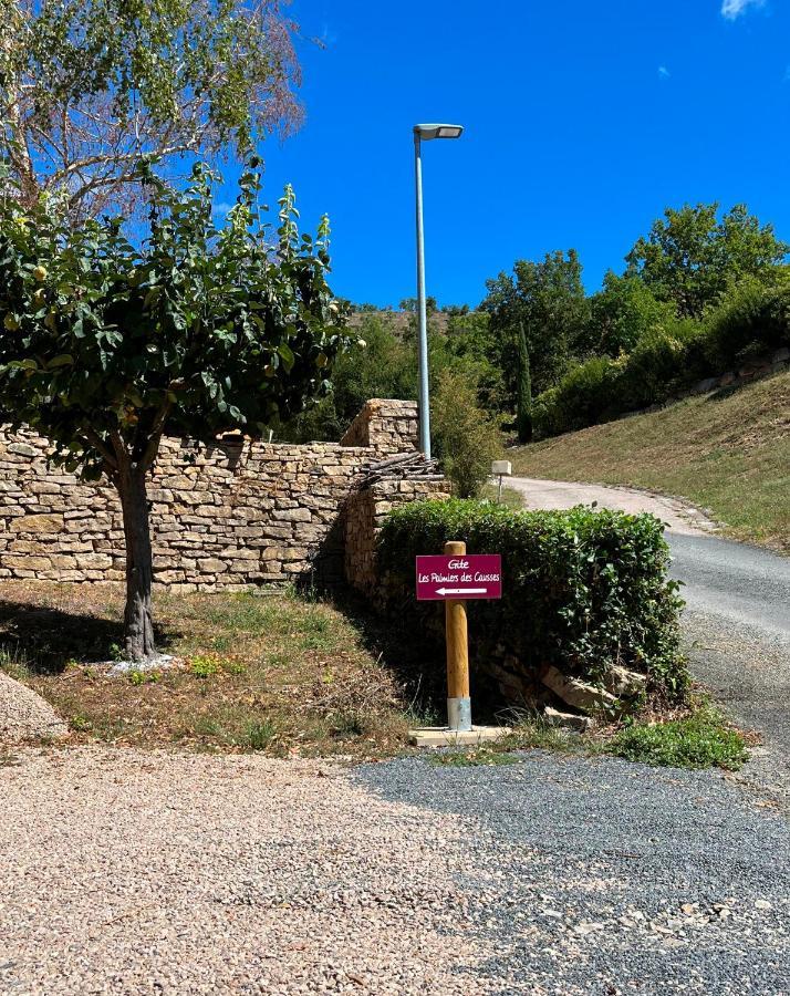 Chambre Au Calme Avec Spa Privatif Gratuit Sud Aveyron Les Palmiers Des Causses Saint-Rome-de-Tarn Екстер'єр фото