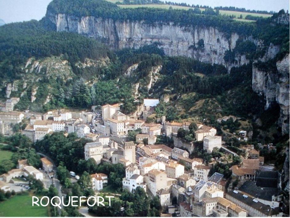 Chambre Au Calme Avec Spa Privatif Gratuit Sud Aveyron Les Palmiers Des Causses Saint-Rome-de-Tarn Екстер'єр фото